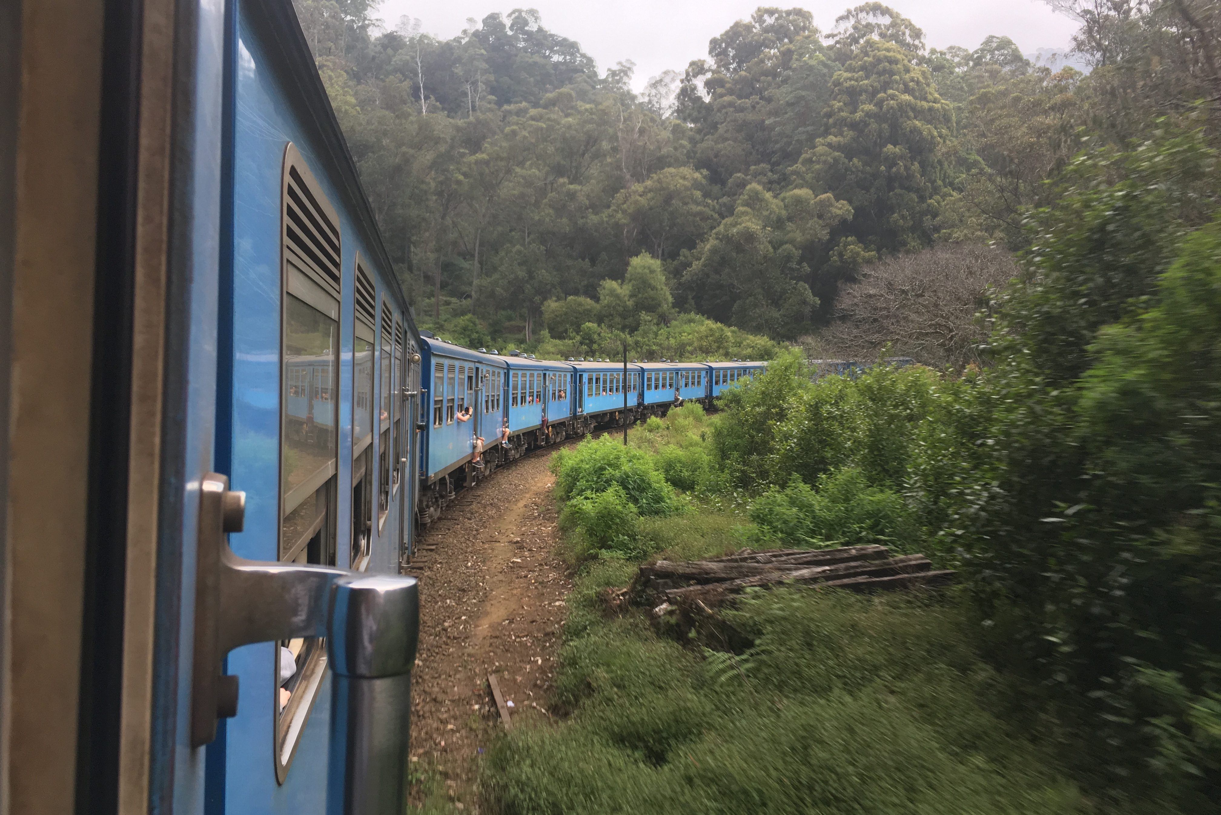 Train plantation de thé 
